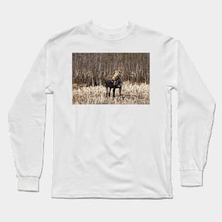 Cheeky Moose - Algonquin Park Long Sleeve T-Shirt